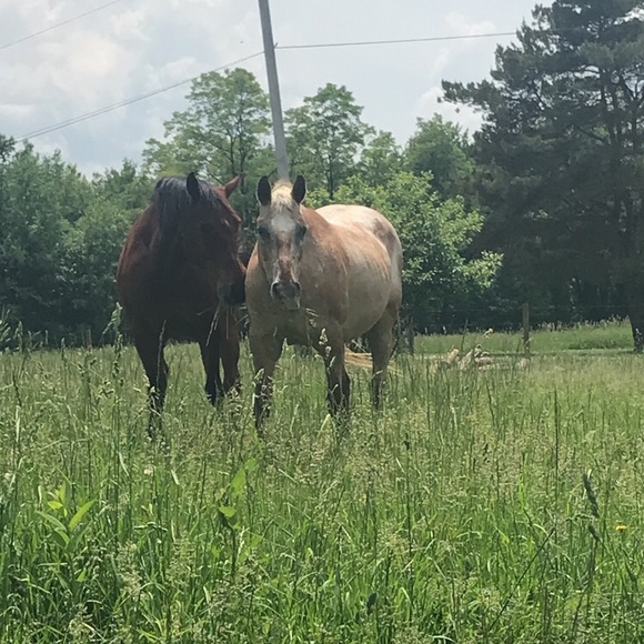 Meet your Posher, Haleigh - Picture 3 of 3